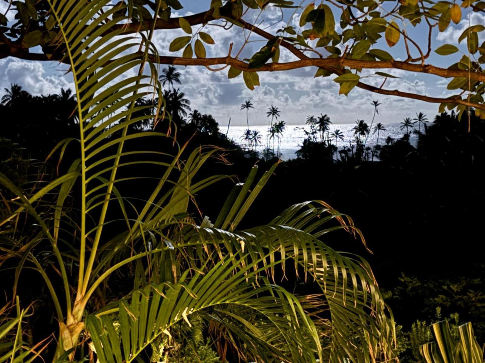 Firefly Estate Bequia Hotell Crescent Beach Exteriör bild