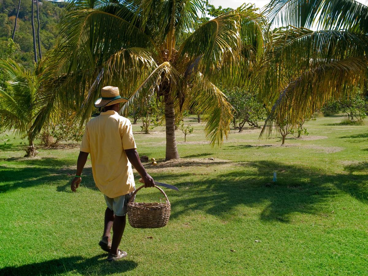 Firefly Estate Bequia Hotell Crescent Beach Exteriör bild
