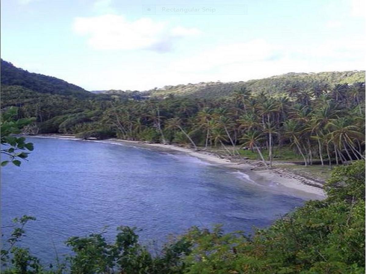 Firefly Estate Bequia Hotell Crescent Beach Exteriör bild