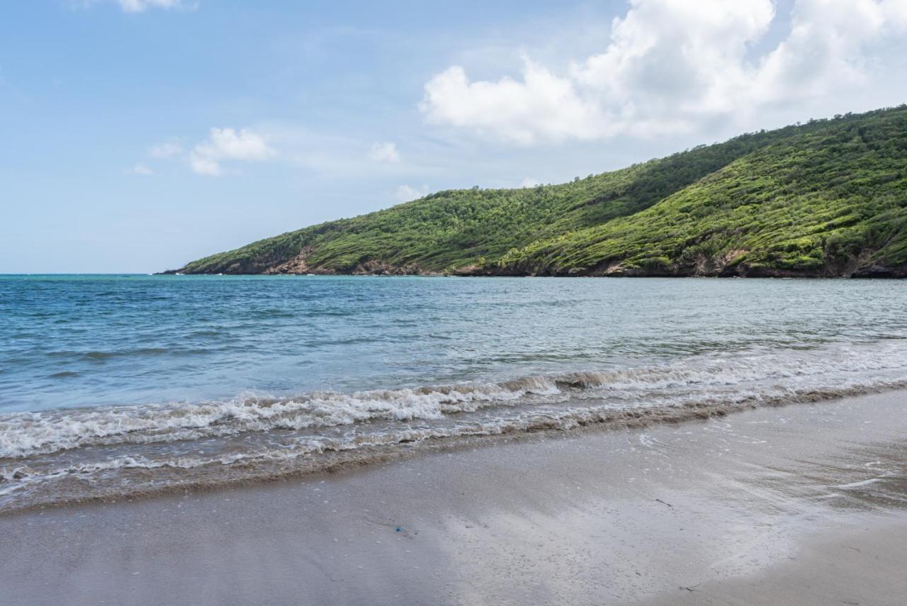 Firefly Estate Bequia Hotell Crescent Beach Exteriör bild